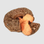Fresh Organic Elephant Foot Yam