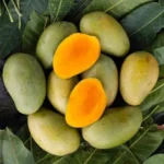 Fresh Amrapali Mango