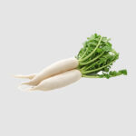 Fresh Organic Radish